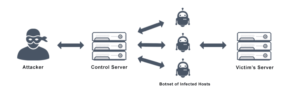What is a DDoS Attack