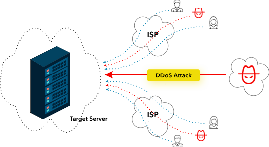 DDoS Protection